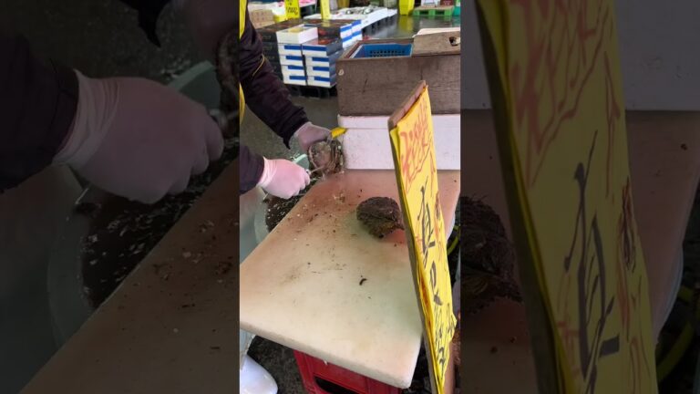 こんなデカい生牡蠣あったんや。