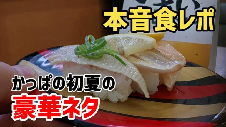 【お寿司２分食レポ】 かっぱ寿司 かっぱの初夏んお豪華ネタを食べてきました！ (赤貝 炙りはまち 炙りのどぐろ 炙りサーモン ひらめ 真鯛 本鮪) 2023年5月14日