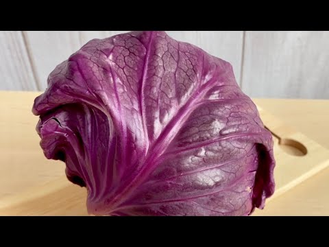 紫キャベツ〈野菜の食べ方＆調理方法〉by食育マルシェおうち便
