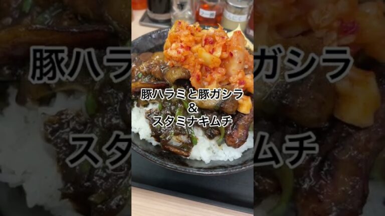 【グルメ】伝説のすた丼屋新メニューがやばすぎた笑これはうまくてヤバい！#shorts #すた丼 #グルメ #丼ぶり #豚肉 #スタミナ丼 #スタミナ