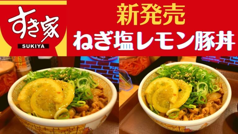 【世界一面白い食レポ】すき家 ねぎ塩レモン豚丼・季節のひじき煮【豚丼/ダジャレを言ってくだじゃれ】