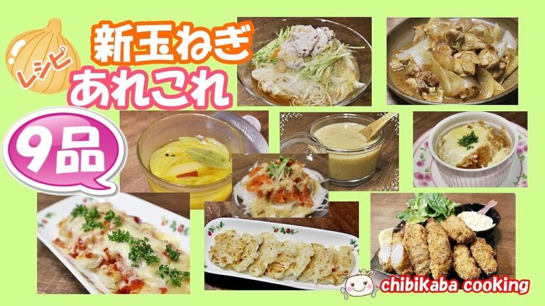 【新玉ねぎ】簡単でおいしい！ レシピ９品紹介#129