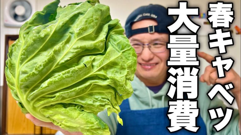 【こういうのでいいんだよ】居酒屋に行くと絶対に頼んでしまう【無限春キャベツ】の作り方！