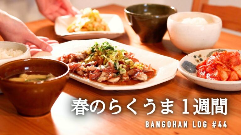 【1週間の夕飯】春キャベツ使い切り！春の手抜きに見えない手抜き晩御飯🥬｜平日5日間の献立レシピ