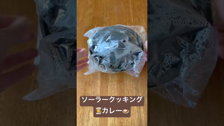 節約レシピ 夏野菜カレー