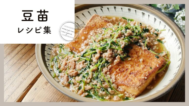 お手頃価格！豆苗レシピ集