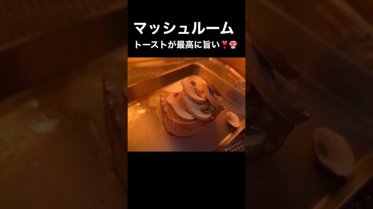 マッシュルームが、ちょっとだけ　ある
