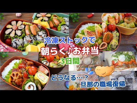 朝は焼くだけ！冷凍ストックでらくらく♪お弁当3日間【Making Bento】お花海苔つくね/イタリアン春巻き/豚こま肉で揚げない酢豚