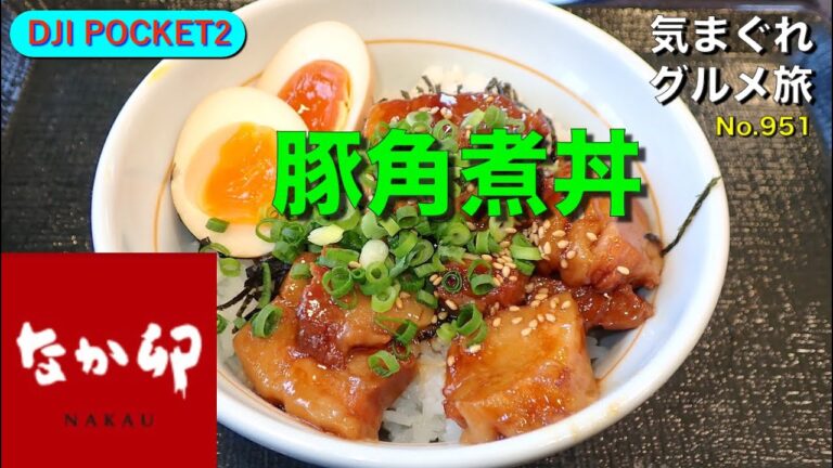 【気まグルメ】DJI POCKET2で撮る：なか卯「豚角煮丼」お箸で簡単に切れるほど角煮は柔らかです - No. 951