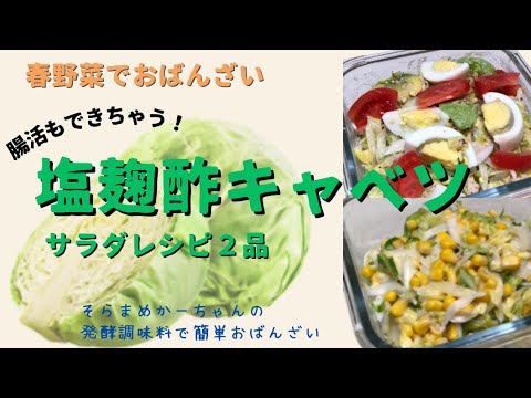 春野菜を美味しく食べよう♪  【塩麹酢キャベツ&サラダレシピ】　　　　　　　　　　　　　　　　　　　　　　　　　　　　#おばんざい  #コンソメ麹  #春キャベツ  #新玉ねぎ  #ダイエット中の食事