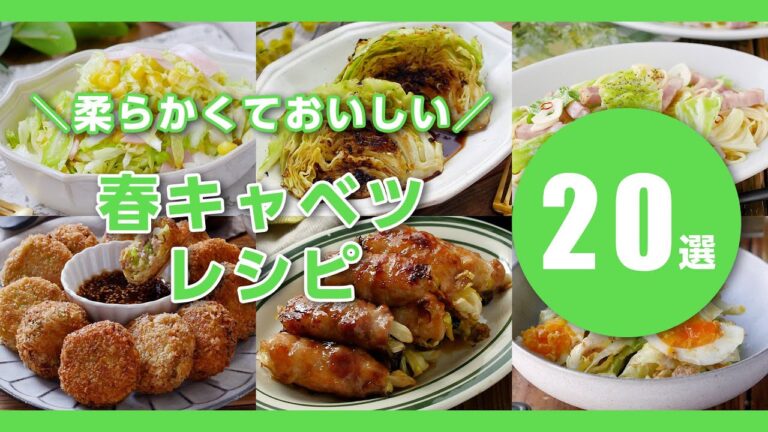 【春キャベツレシピ20選】やわらかくて甘い！春に食べたい♪主菜や副菜にピッタリ｜macaroni（マカロニ）