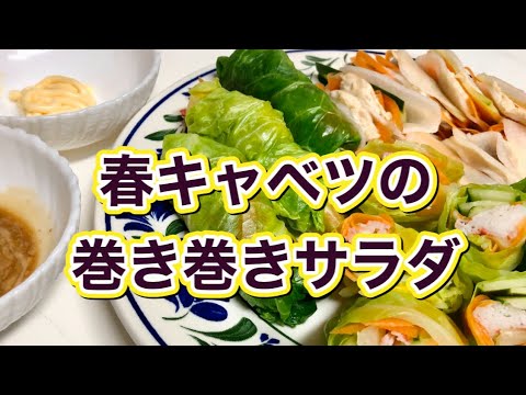 【春キャベツ】ロールキャベツのサラダバージョン♪シャキシャキ食感を楽しむサラダレシピ