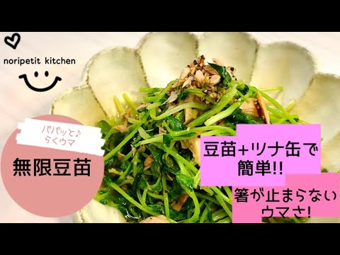 【3分で完成!!】豆苗+ツナ缶で超簡単！箸が止まらない♪【無限豆苗】ごはんもお酒もススム1品