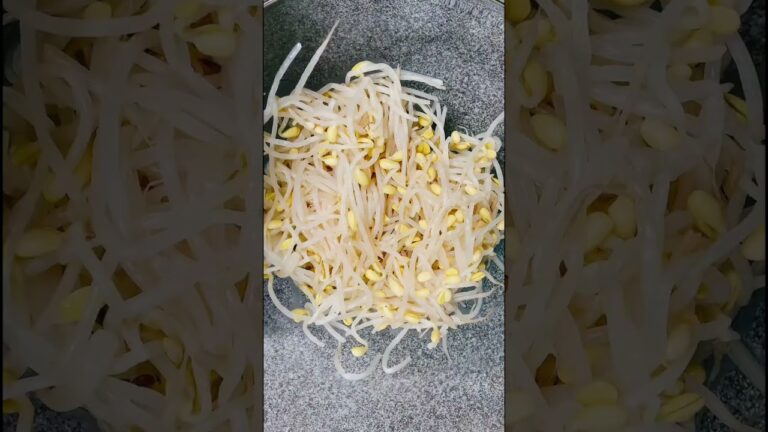 豆もやし大量消費レシピ❤️野菜をたーっぷり食べて欲しいの💕 #お料理動画 #簡単レシピ #japanesefood #もやし