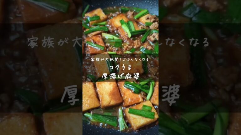 家族が大絶賛！厚揚げ麻婆｜調理10分｜材料3つ｜厚揚げ…2枚（約300g）　豚ひき肉…100g　にら…1/2束（約50g）｜#麻婆豆腐 #厚揚げレシピ #ニラレシピ #豚肉レシピ #簡単レシピ