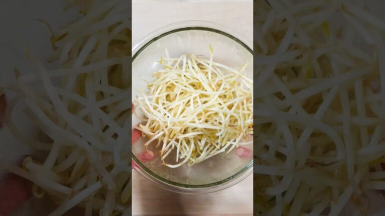 一風堂で35年愛される【ホットもやし】#もやしレシピ #ホットもやし #一風堂