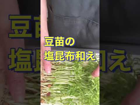 簡単❗切って混ぜるだけ❗【豆苗の塩昆布和え】#Shorts #ひめりんご