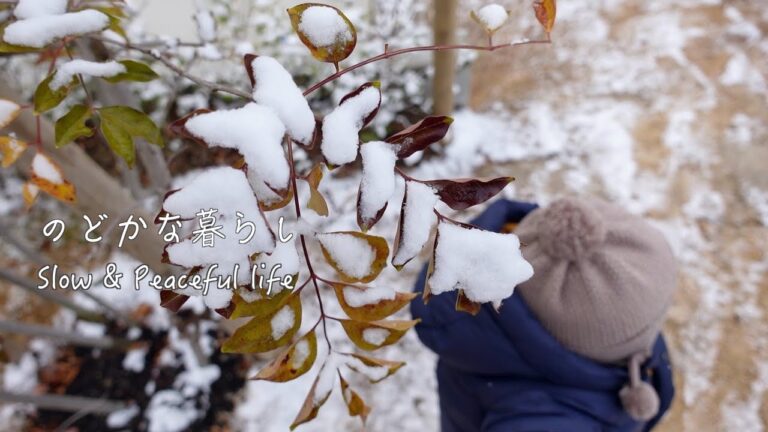 焼売のある晩ご飯/雪にはしゃぐ息子