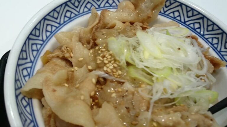 吉野家のネギ塩豚丼はなかなか旨い😋孤独のグルメロード