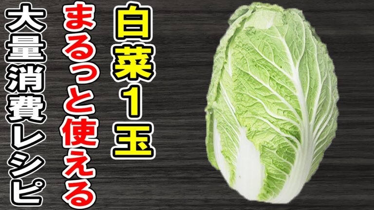 【白菜大量消費レシピ】白菜1個で簡単おいしい8つの料理の作り方！冷蔵庫にあるもので節約おかずの作り方/白菜レシピ/作り置きレシピ/お弁当おかず【あさごはんチャンネル】