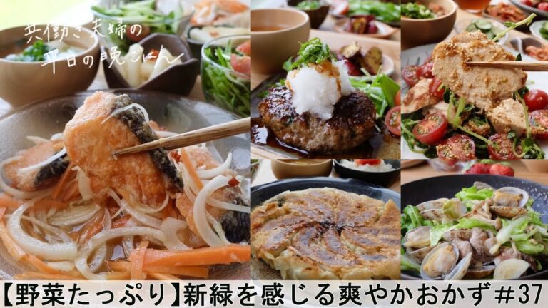 【平日５日間の晩ごはん＃37】新緑を感じる爽やかおかず(はねつきしそ餃子／あさりと春キャベツの酒蒸し／しそ香るおろしハンバーグ／揚げない♪鮭の南蛮漬け／鶏むね肉トマトだれ／料理動画／管理栄養士)