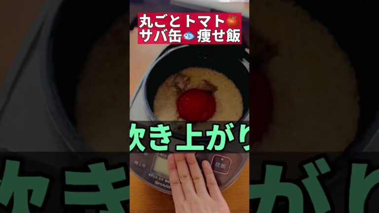 丸ごとサバ缶トマト痩せ飯 #炊飯器 #ズボラダイエット #痩せ飯 #ダイエットレシピ #鯖缶 #サバ缶 #トマト #shorts
