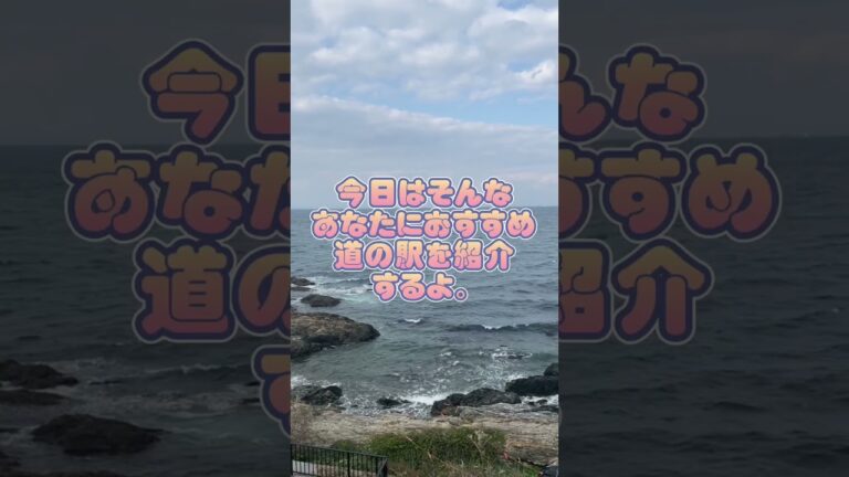 【毎日食べたい】まじで美味しい「道の駅」海鮮丼