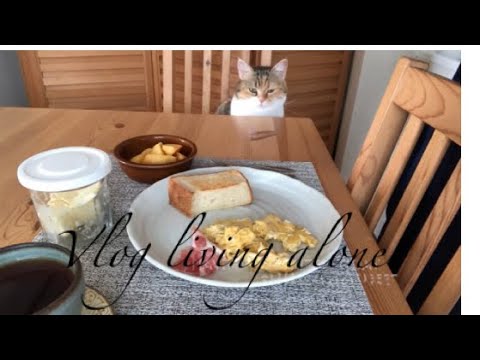 [シンプルライフ]　美味しいチーズチヂミを作る　[vlog #31]