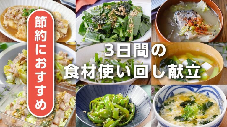 【3日間！食材使い回し献立】もやし、豆腐、小松菜、キャベツ、ピーマンを使い回し！節約にもピッタリ♪｜macaroni（マカロニ）