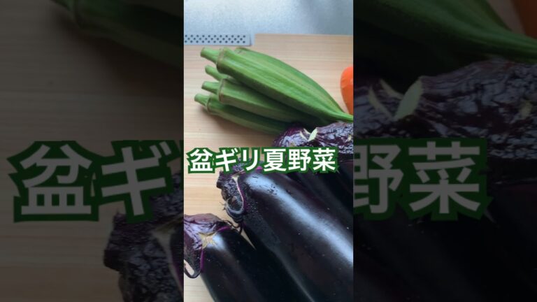 夏野菜盆ギリ歌#shorts#料理#漬け#簡単#レシピ#野菜