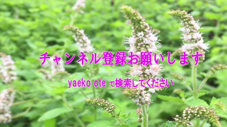 まるでカフェの味…簡単すぎるキノコポタージュ