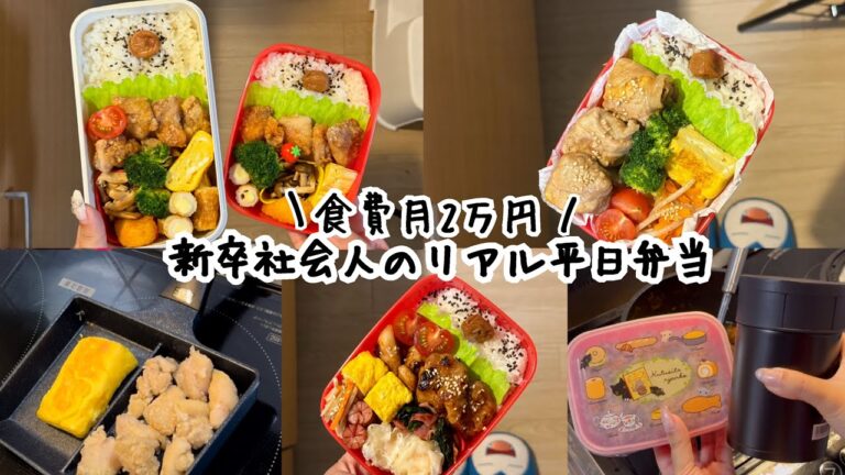 【食費月2万円】新卒社会人のリアル１週間弁当❕唐揚げ／ヤンニョムチキン／カレー／肉巻き厚揚げ豆腐