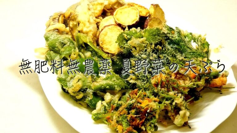 夏野菜の天ぷらレシピ 自然農 畑の天ぷら　節約レシピ Summer vegetable tempura recipe Natural farm field tempura saving recipe