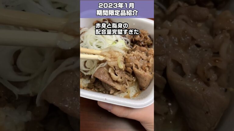 【2023年1月】優勝レベルの吉野家のねぎ塩牛カルビ丼を記録【吉野家期間限定】