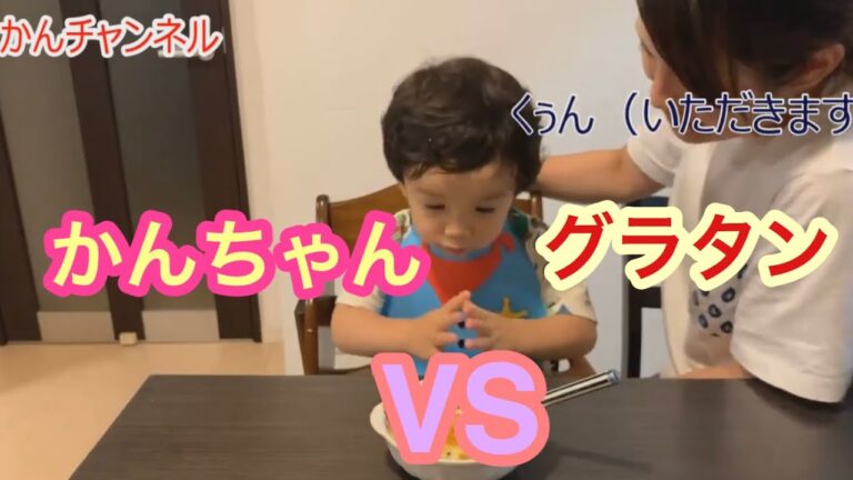 【癒やし】かんちゃんグラタンを食べる！の巻き！