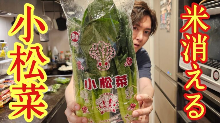 僕の大好きなあの料理を小松菜で作ったら異常に旨い一皿が出来ました【空芯菜風小松菜炒め】