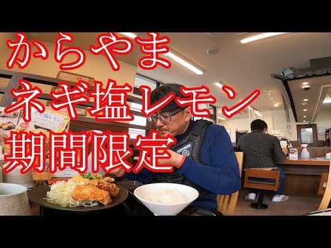 【期間限定】ネギ塩レモンからあげ【からやま】