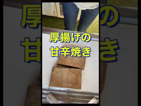 ご飯にもつまみにも最高〜😍【厚揚げの甘辛焼き】#Shorts #ひめりんご