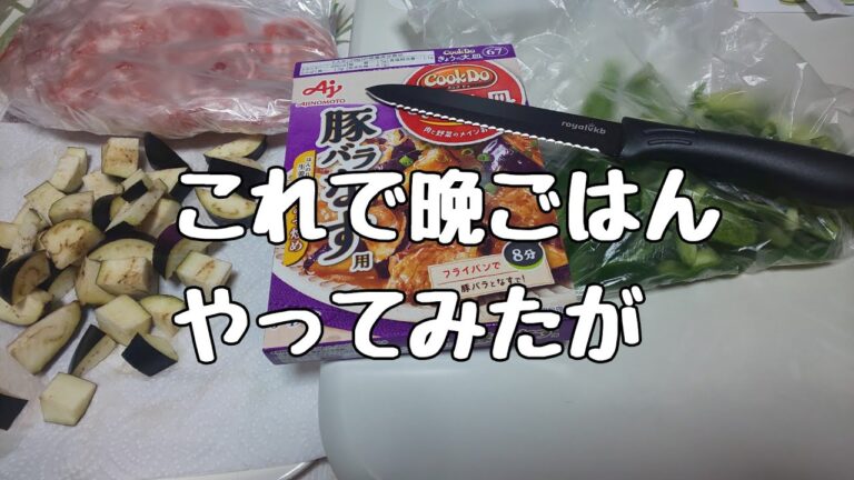 【晩ごはん】ピーマン、ナス、豚肉でやってみたが...#shorts