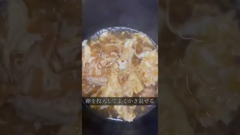 【酸辣湯】カルディのサンラータンを作ってサントリーのプレミアムモルツ香るエールを飲む限界フルタイムワーママ【KALDI】