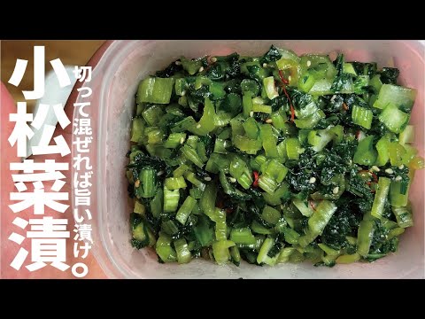 【小松菜漬け】飯に肴に魚にも 小松菜使い切りの漬けレシピです。