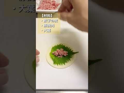 【簡単おつまみ】ズボラ社会人の余った餃子の皮と挽肉と大葉を適当に焼くもの／Gyoza skin snacks made by lazy people  #shorts