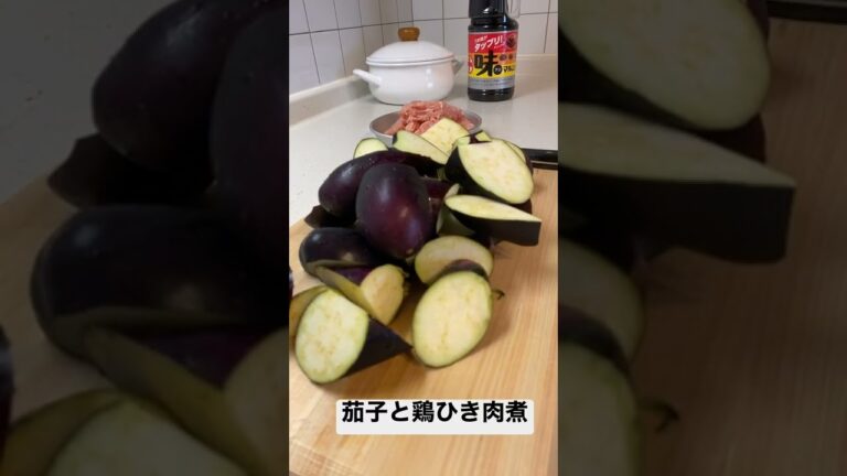 茄子と鶏ひき肉煮