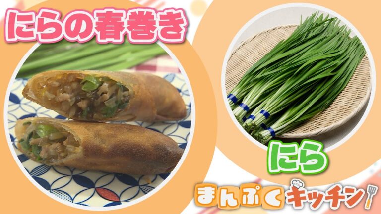 【まんぷくキッチン】スタミナ料理におすすめ「にら」の収穫体験 / まんぷくレシピ「にらの春巻き」（2022年9月21日 OA）
