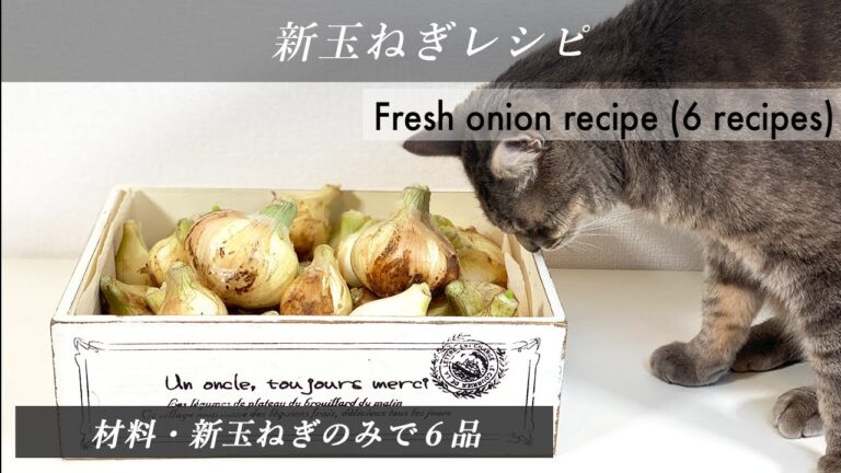 新玉ねぎレシピ
