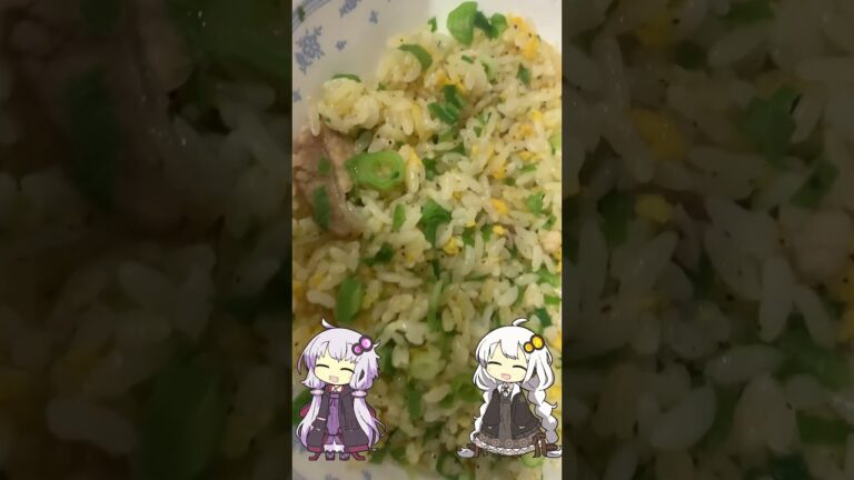 癖になる冷凍チャーハンやってきた🌠やみつきねぎ塩炒飯を食べてみた 076 04