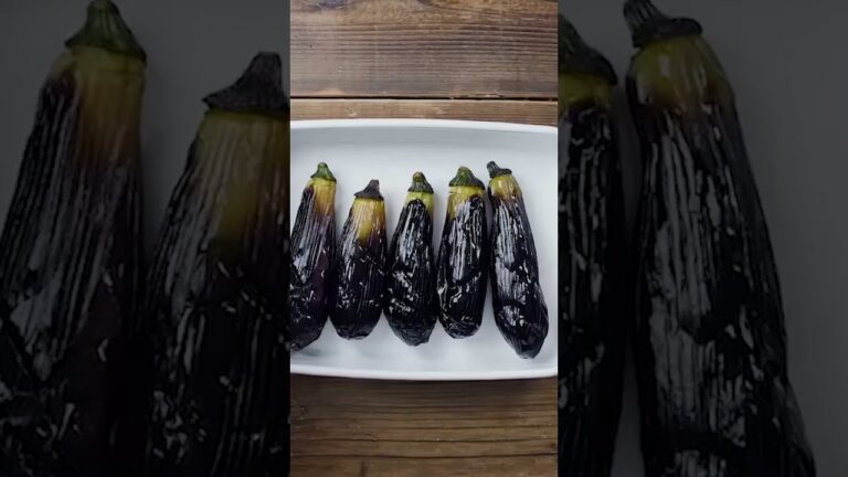 【ナスあったら作って🍆】なすの煮浸し！ #なす #作り置き #レシピ