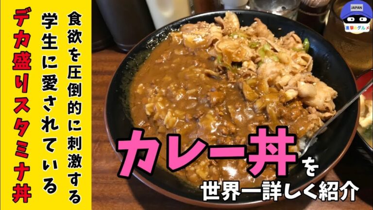 【デカ盛り】「豚丼の丼達 水道橋店」でカレースタミナ丼・ご飯大盛りを世界一詳しく調査！【気軽に大食い】