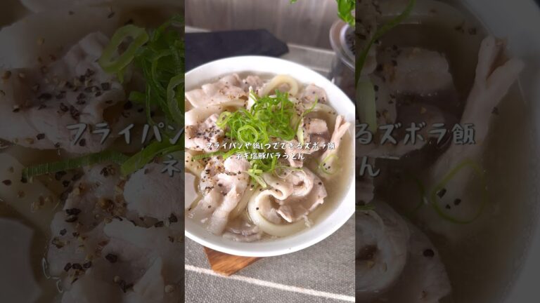 フライパンや鍋で1発でできるズボラ飯！ネギ塩豚バラうどん
