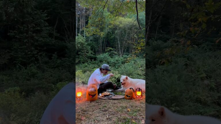 かぼちゃグラタン🎃 #nora🇯🇵 #asmr #川で料理 #焚き火料理 #ハロウィンレシピ